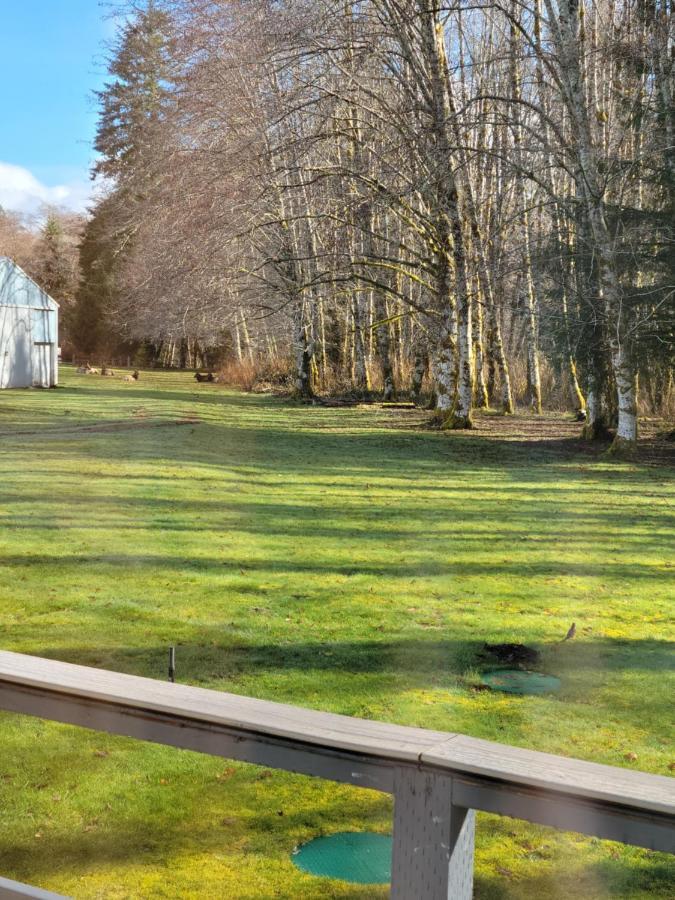 A Relaxing Getaway-A Backwoods Cabin Solduc River Beaver Luaran gambar