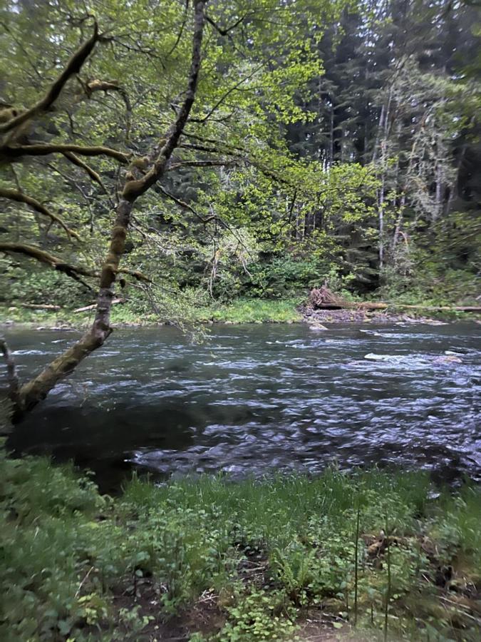 A Relaxing Getaway-A Backwoods Cabin Solduc River Beaver Luaran gambar