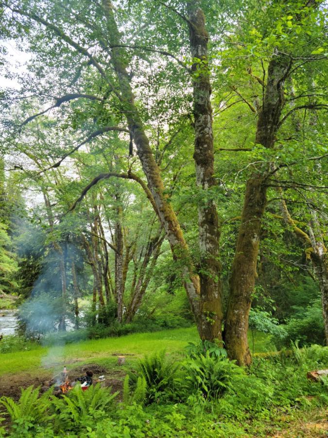 A Relaxing Getaway-A Backwoods Cabin Solduc River Beaver Luaran gambar